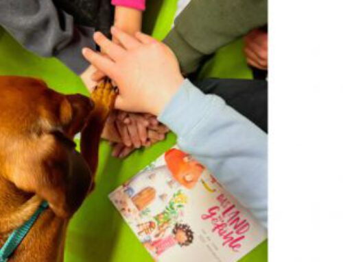 Begleithund Vibius erobert die Herzen der Drolshagener Grundschüler