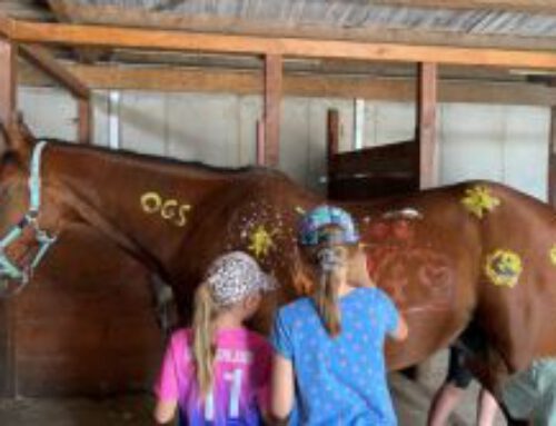 Ausflug zum Reiterhof – Ein besonderer Tag im Offenen Ganztag